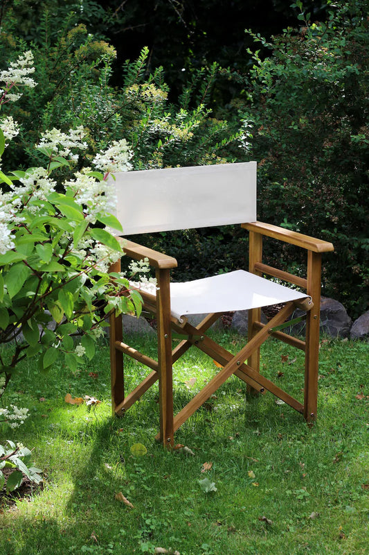 Director's chair/ garden furniture/ folding camping chair